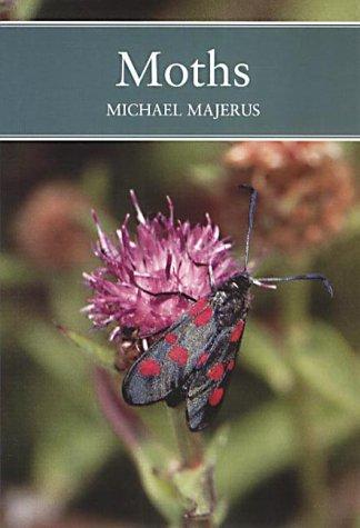Cover image for Moths