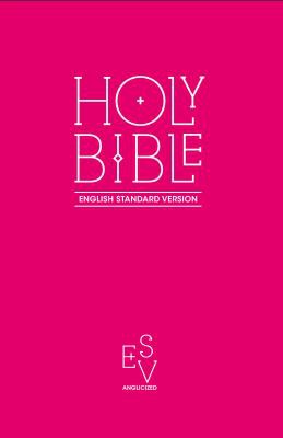 Cover image for Holy Bible