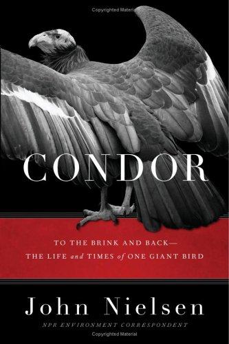 Cover image for Condor: To the Brink and Back--The Life and Times of One Giant Bird