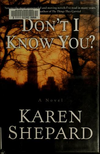 Cover image for Don't I Know You?: A Novel