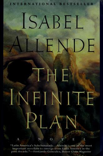 Cover image for Infinite Plan: a Novel