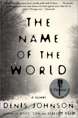 Cover image for The Name of the World: A Novel