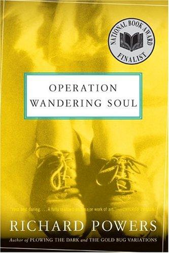 Cover image for Operation Wandering Soul