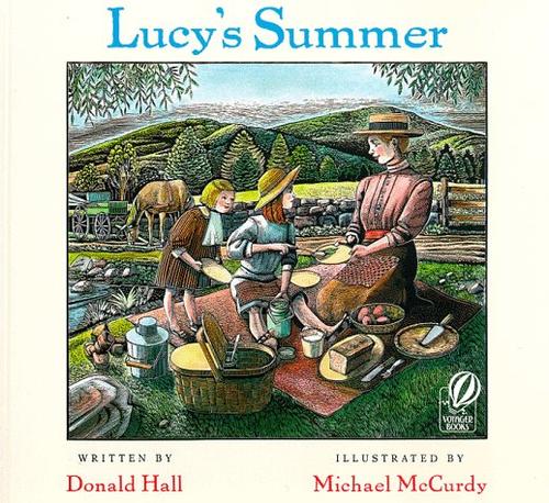 Cover image for Lucy's Summer