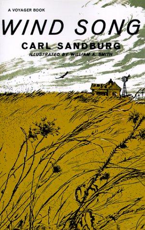Cover image for Wind Song (Voyager Book)