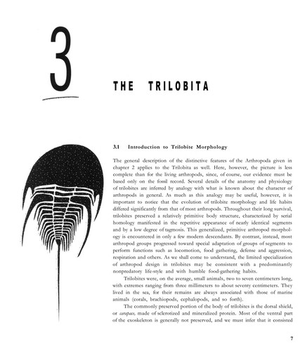 Cover image for Trilobites