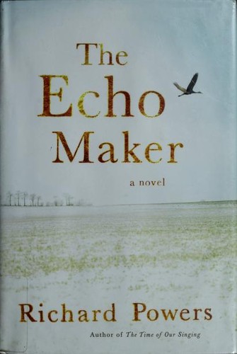Cover image for The Echo Maker: A Novel