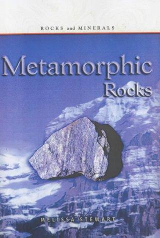 Cover image for Metamorphic Rocks (Rocks & Minerals)