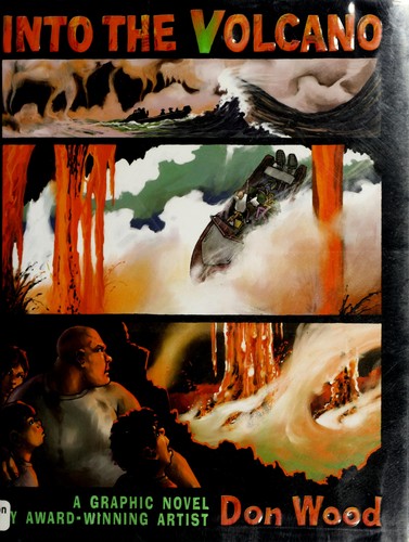 Cover image for Into the volcano