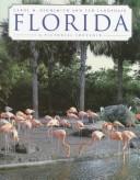 Cover image for Florida: A Pictorial Souvenir