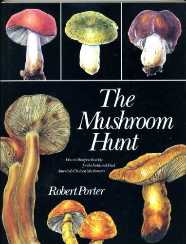 Cover image for Mushroom Hunt