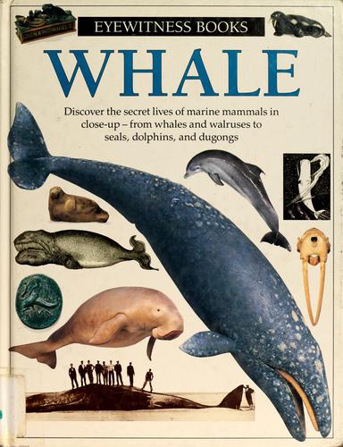 Cover image for Whale (Eyewitness Books)