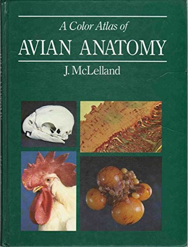 Cover image for Color Atlas of Avian Anatomy