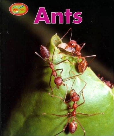 Cover image for Ants (Minipets)