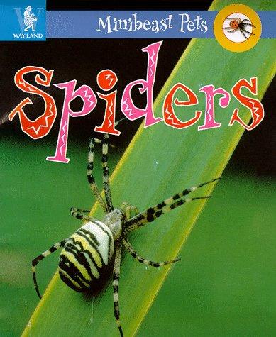 Cover image for Spiders (Minibeast Pets)
