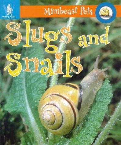 Cover image for Slugs and Snails (Minibeast Pets)