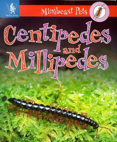 Cover image for Millipedes and Centipedes (Minibeast Pets)