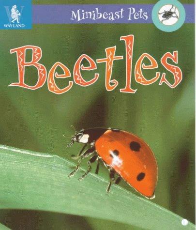 Cover image for Beetles (Minibeast Pets)