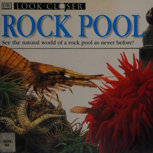 Cover image for Rock Pool (Look Closer)