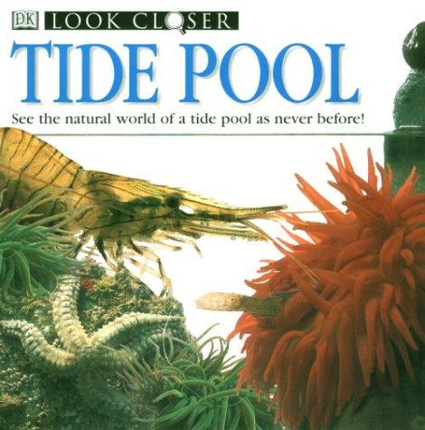 Cover image for Tide Pool (Look Closer)