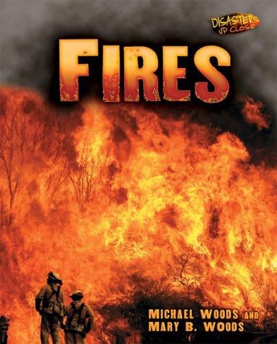 Cover image for Fires