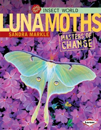 Cover image for Luna Moths