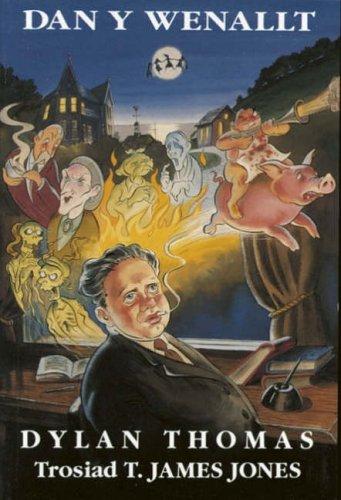 Cover image for Dan Y Wenallt