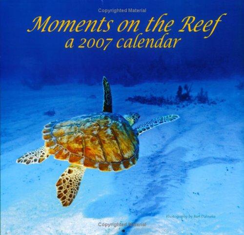 Cover image for Moments on the Reef