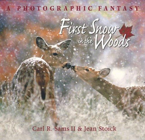 Cover image for First Snow in the Woods