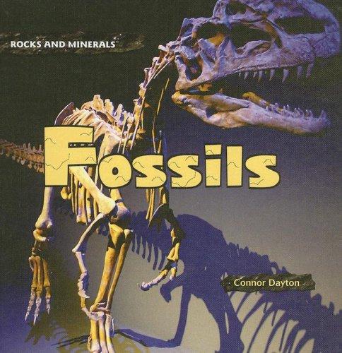 Cover image for Fossils (Rocks and Minerals)