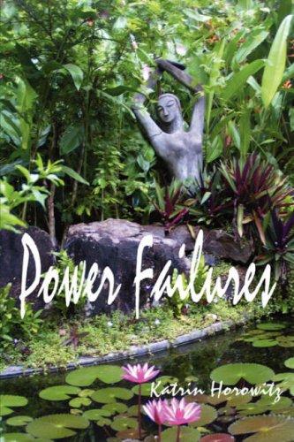 Cover image for Power Failures