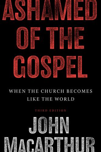Cover image for Ashamed of the Gospel