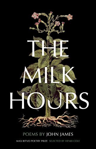 Cover image for Milk Hours