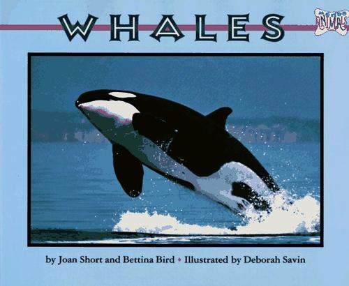 Cover image for Whales (Mondo Animals)