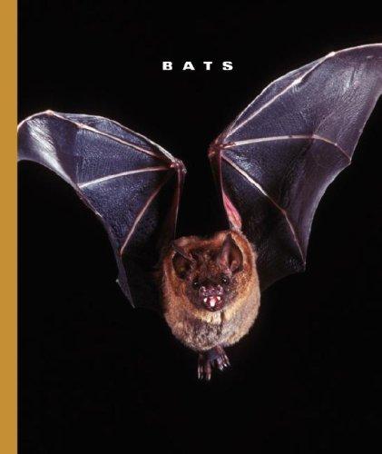 Cover image for Bats (World of Mammals)