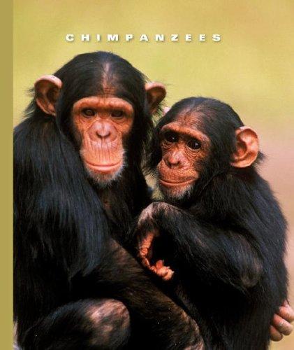 Cover image for Chimpanzees (World of Mammals)