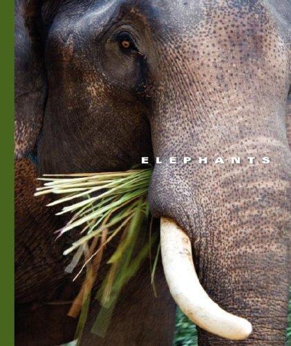 Cover image for Elephants (World of Mammals)
