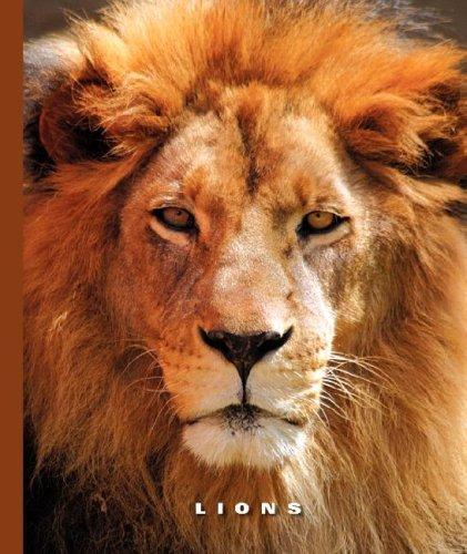 Cover image for Lions (World of Mammals)