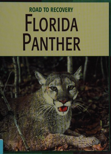 Cover image for Florida panthers