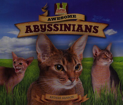 Cover image for Awesome abyssinians