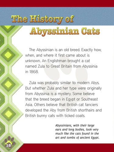 Cover image for Abyssinian cats