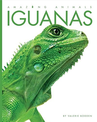 Cover image for Iguanas