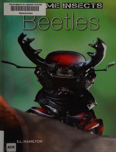 Cover image for Beetles