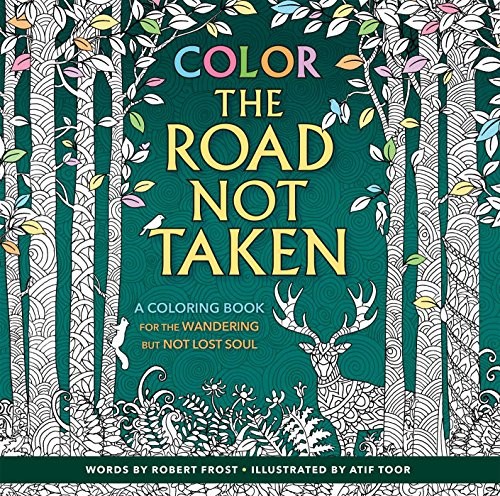 Cover image for Color the Road Not Taken