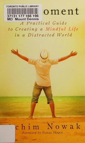 Cover image for Moment