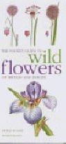 Cover image for Mitchell Beazley Pocket Guide to Wild Flowers
