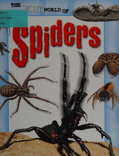 Cover image for The secret world of spiders