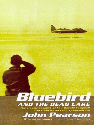 Cover image for Bluebird and the Dead Lake