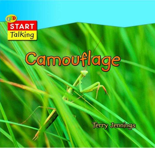 Cover image for Camouflage (Start Talking)