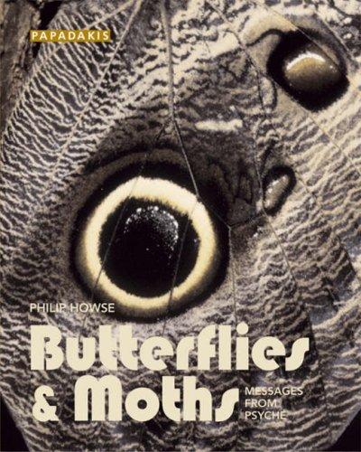 Cover image for Butterflies and Moths